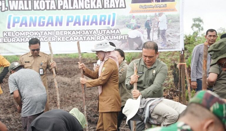 Kadis TPHP Kalteng Hadiri Launching Gerakan Menanam Padi Gogo