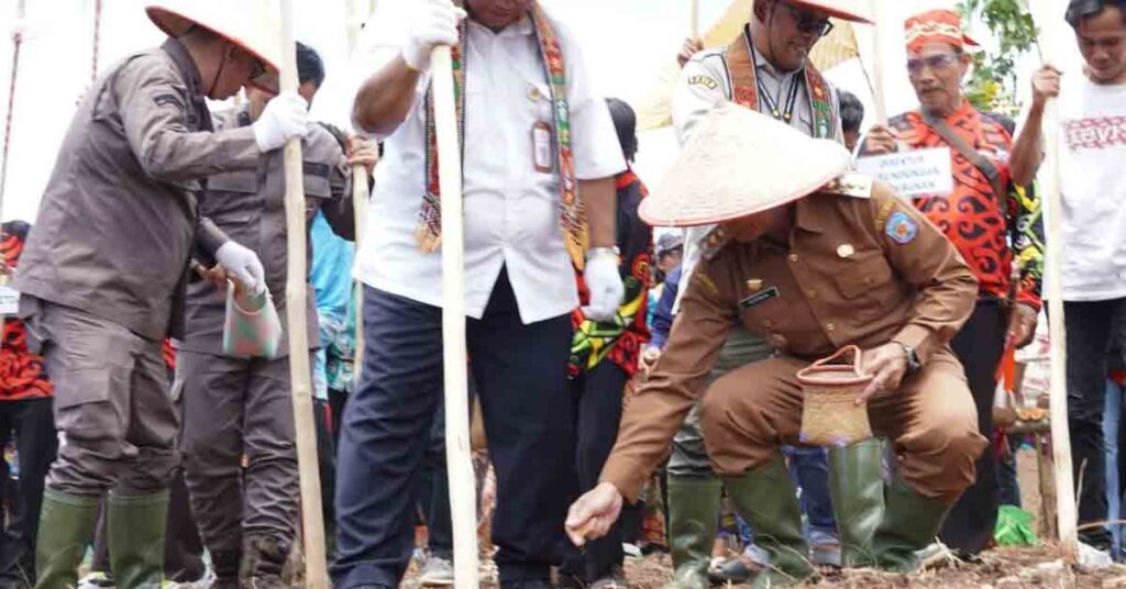 Pj Bupati Murung Raya Laksanakan Penanaman Padi Gogo