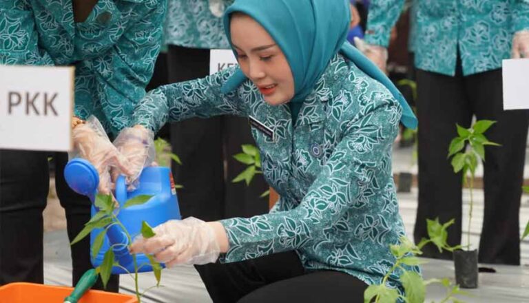 Aisyah Thisia Agustiar Sabran Sampaikan Program Aku Hatinya PKK Salah Satu Implementasi 10 Pokok PKK