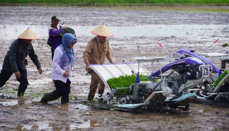 Perkuat Ketahanan Pangan Daerah, Gubernur Agustiar Sabran Aktif Dorong Partisipasi Masyarakat Pada Sektor Pertanian