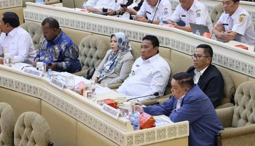 Wagub Kalteng Hadiri Raker dan RDP dengan Komisi II DPR RI