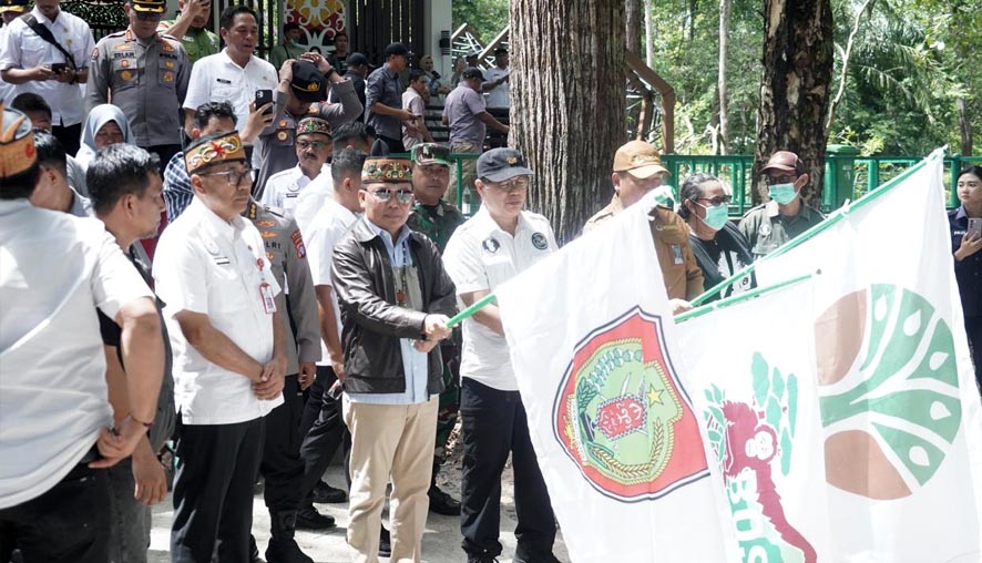 Gubernur Kalteng Pimpin Pelepasliaran Orangutan dan Penanaman Pohon