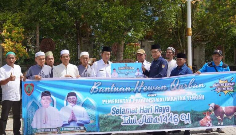 Pemkab Barito Utara Terima 30 Ekor Sapi Qurban dari Pemprov Kalteng