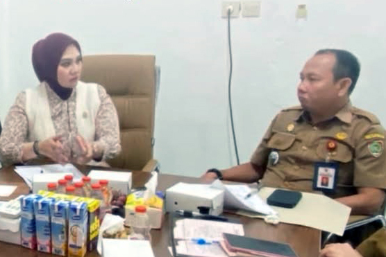 DPMPTSP Provinsi Kalimantan Tengah menerima kunjungan kerja Komite IV DPD RI