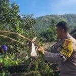 IMG-20260711-WA0022