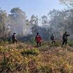 IMG-20260831-WA0099