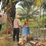 IMG-20260903-WA0081